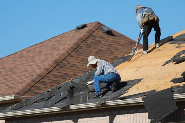 Best Asphalt Shingle Roofing  in Buffalo, NY